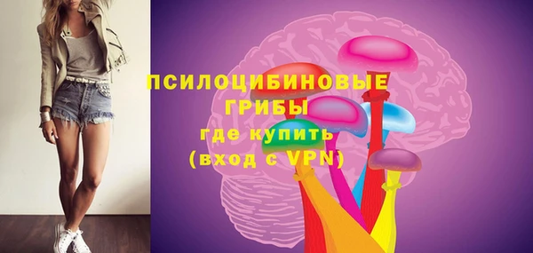 шишки Каменск-Шахтинский