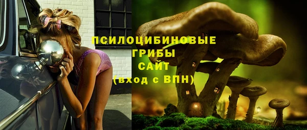 круглые Иннополис