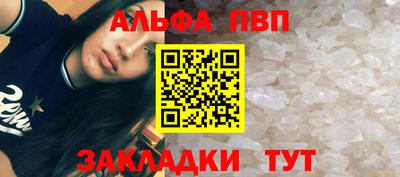 тгк Кингисепп