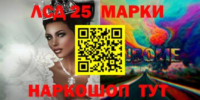 тгк Кингисепп
