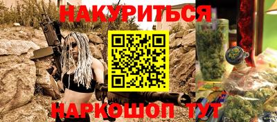 тгк Кингисепп