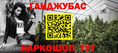 тгк Кингисепп