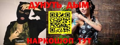 тгк Кингисепп
