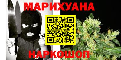 тгк Кингисепп