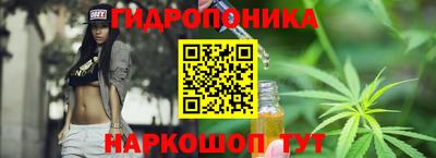 тгк Кингисепп
