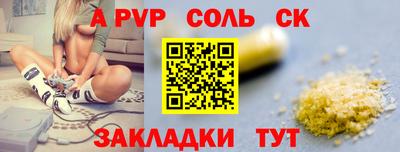 тгк Кингисепп