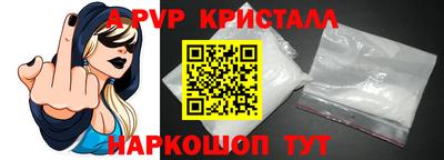тгк Кингисепп