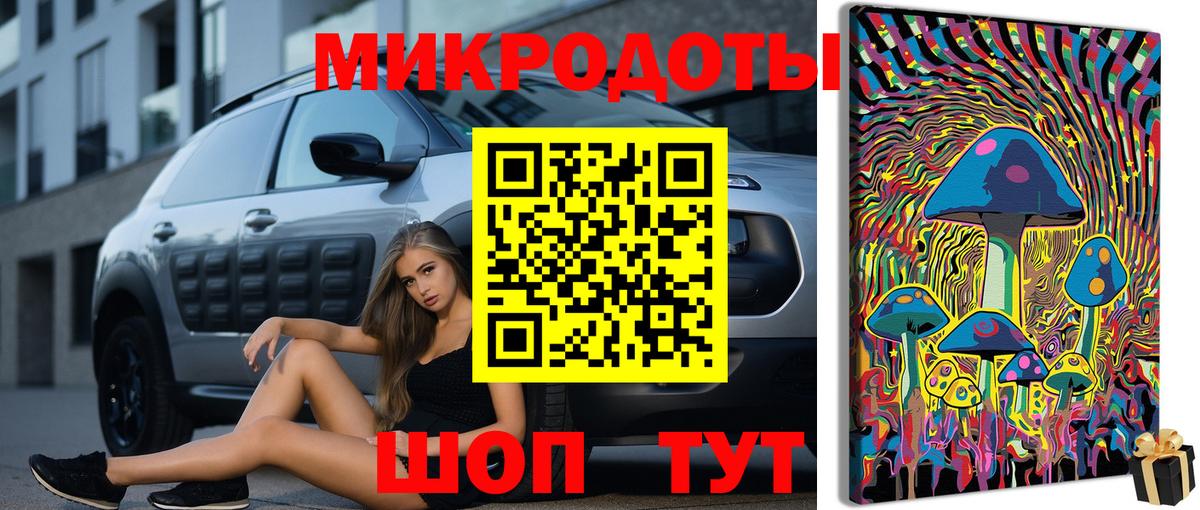 Карпинск  Галлюциногенные грибы Psilocybe  Вход с VPN 
