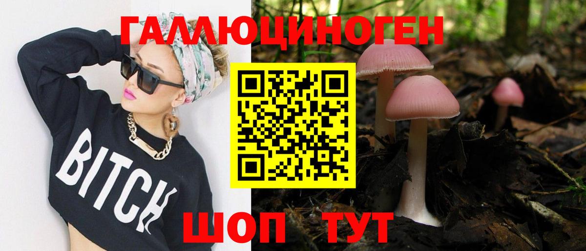 Галлюциногенные грибы Psilocybine cubensis Карпинск